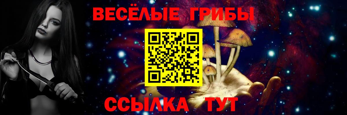 Псилоцибиновые грибы Cubensis  Вход с VPN  Улан-Удэ  Псилоцибиновые грибы мухоморы 
